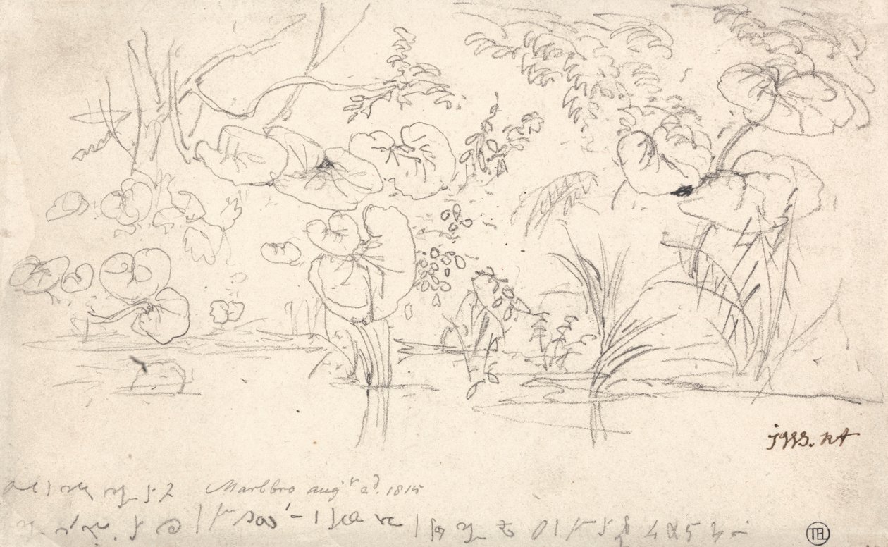Studies of Plants, 2. elokuuta 1815 tekijältä James Ward