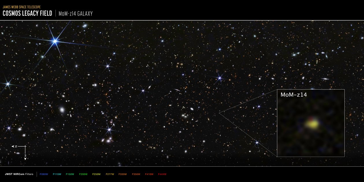 COSMOS-kentän MoM-z14-galaksi (NIRCam-kuva) tekijältä James Webb Space Telescope (NASA)