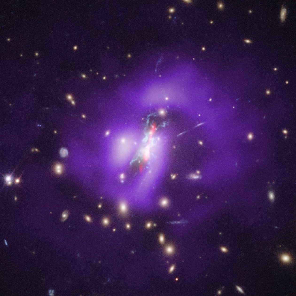 Phoenix-tähtijoukko (Hubble, Chandra, VLA) tekijältä James Webb Space Telescope (NASA)