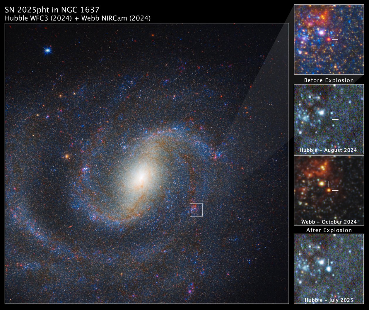 SN 2025pht NGC 1637:ssa tekijältä James Webb Space Telescope (NASA)