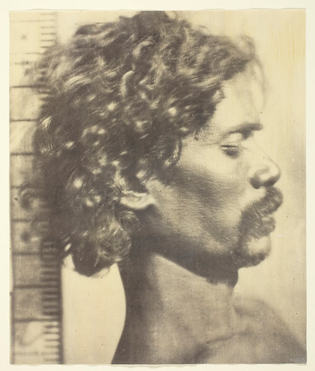 Ihmisenä oleminen, 1873.Ihmisenä oleminen, 1873. tekijältä James Wilkinson Breeks