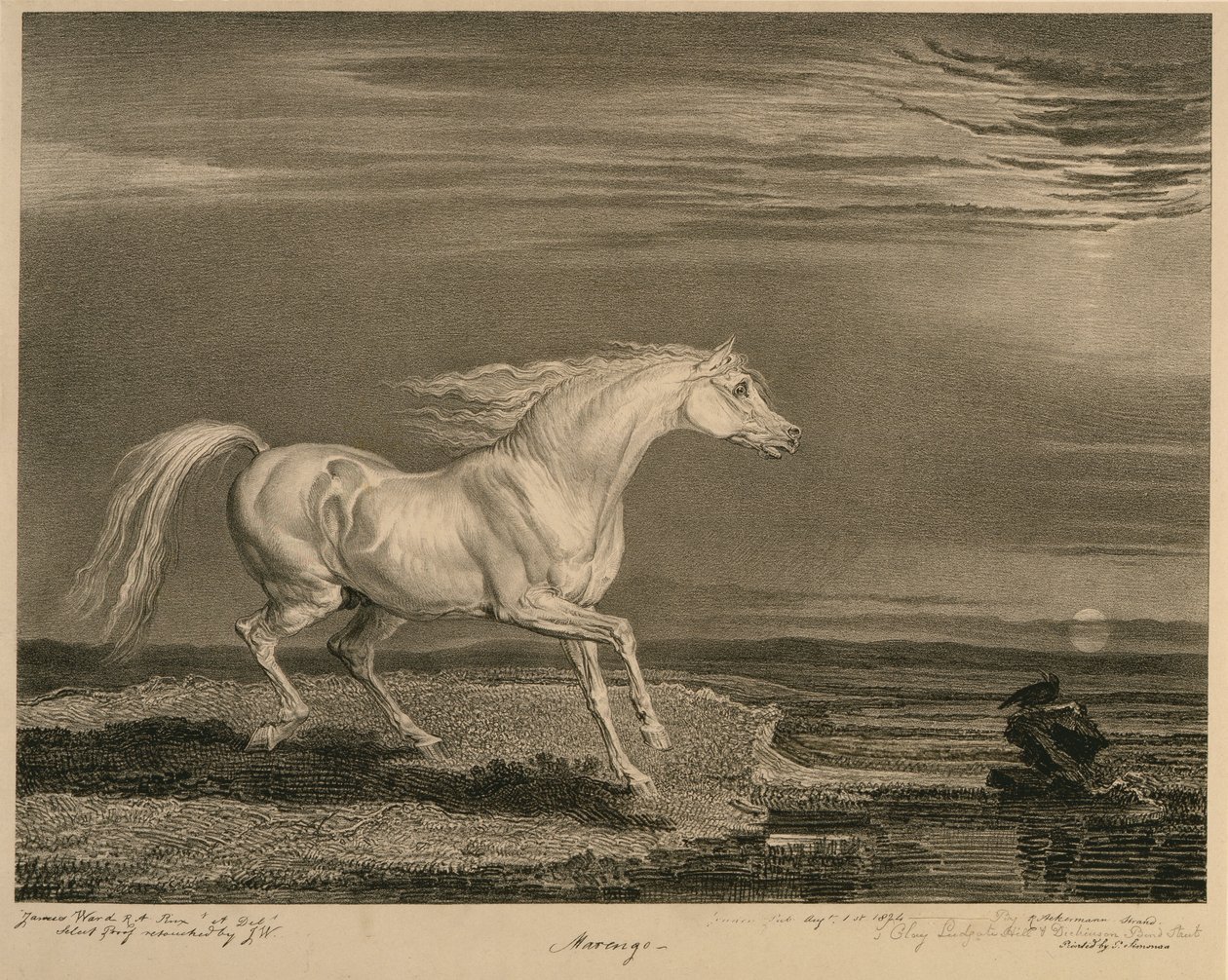 Marengo, Celebrated Horsesista, taiteilijan julkaisema neljätoista kilpakuvasarja, 1823-24 tekijältä James after Ward