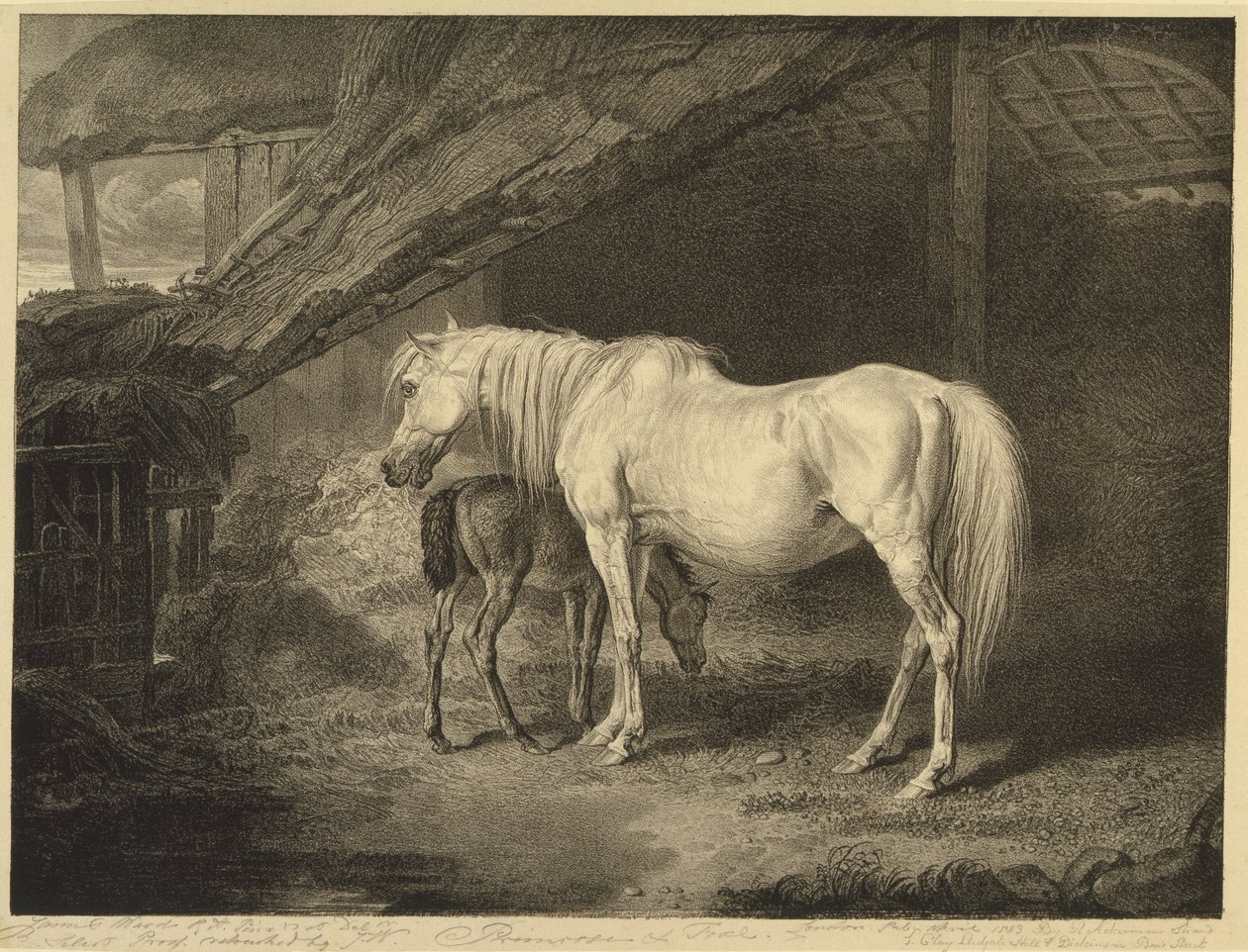 Primrose and Foal, Celebrated Horsesista, sarja neljätoista kilpajulistetta, jonka taiteilija julkaisi, 1823-24 tekijältä James after Ward