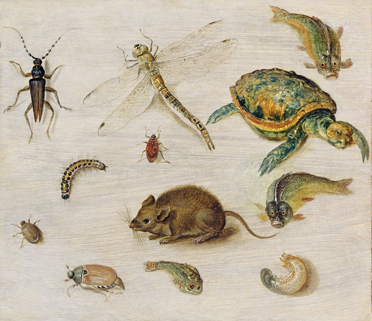 Tutkimus hyönteisistä, merieläimistä ja hiirestä tekijältä Jan the Elder Brueghel