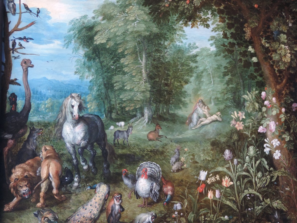 Paratiisi Eevan luomisen kanssa tekijältä Jan Brueghel the Younger