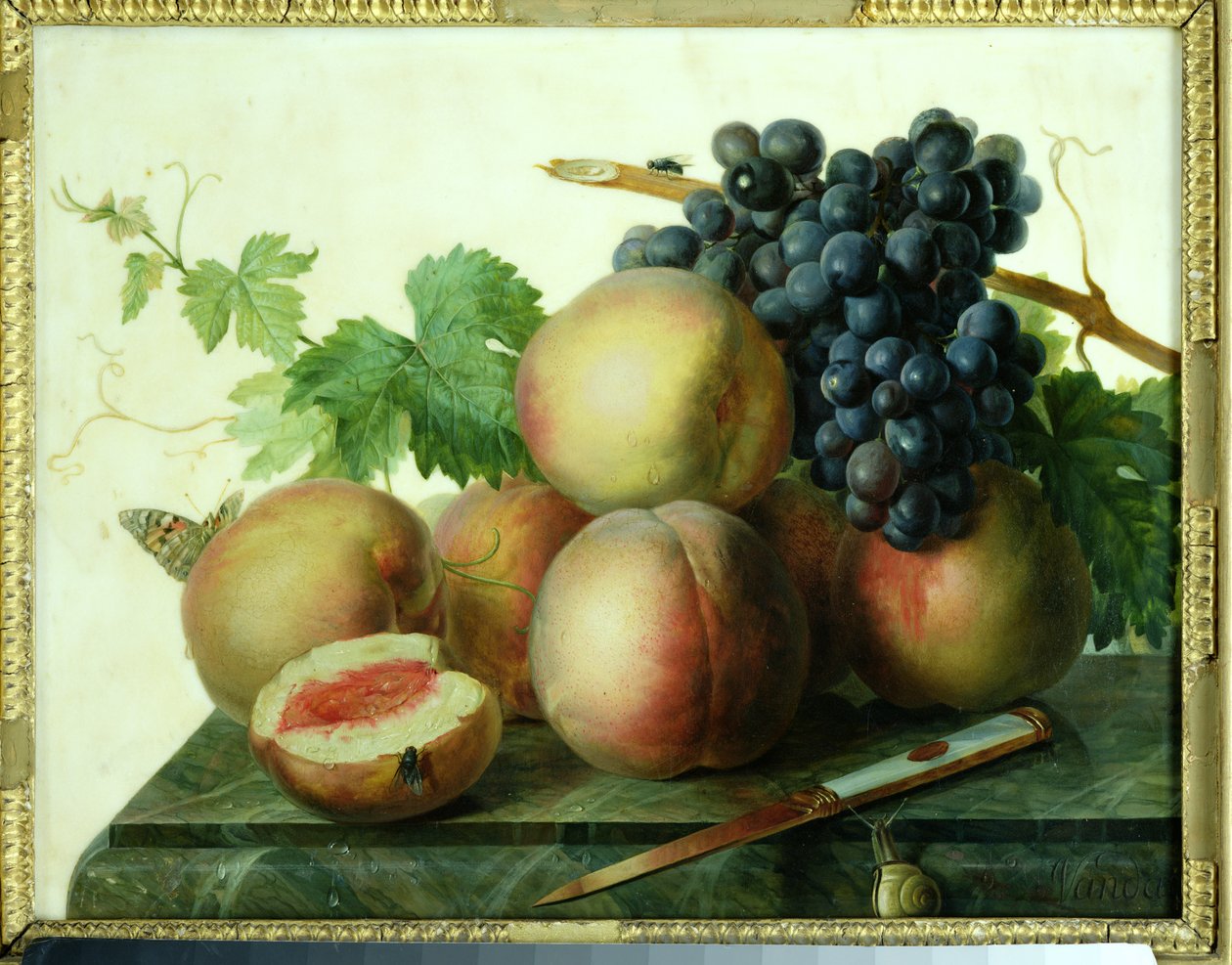 Still Life persikoita ja viinirypäleitä marmorilla tekijältä Jan Frans van Dael