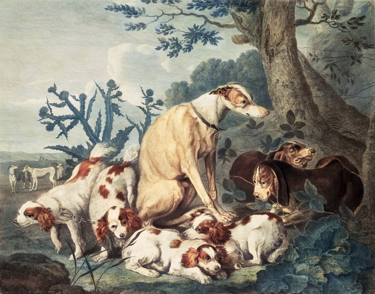 Muotokuvat koirista, kaiverrus Daniel Lerpiniere (n. 1745-85), pub. John und Josiah Boydell, 1799 (pistekaiverrus) tekijältä Jan Fyt