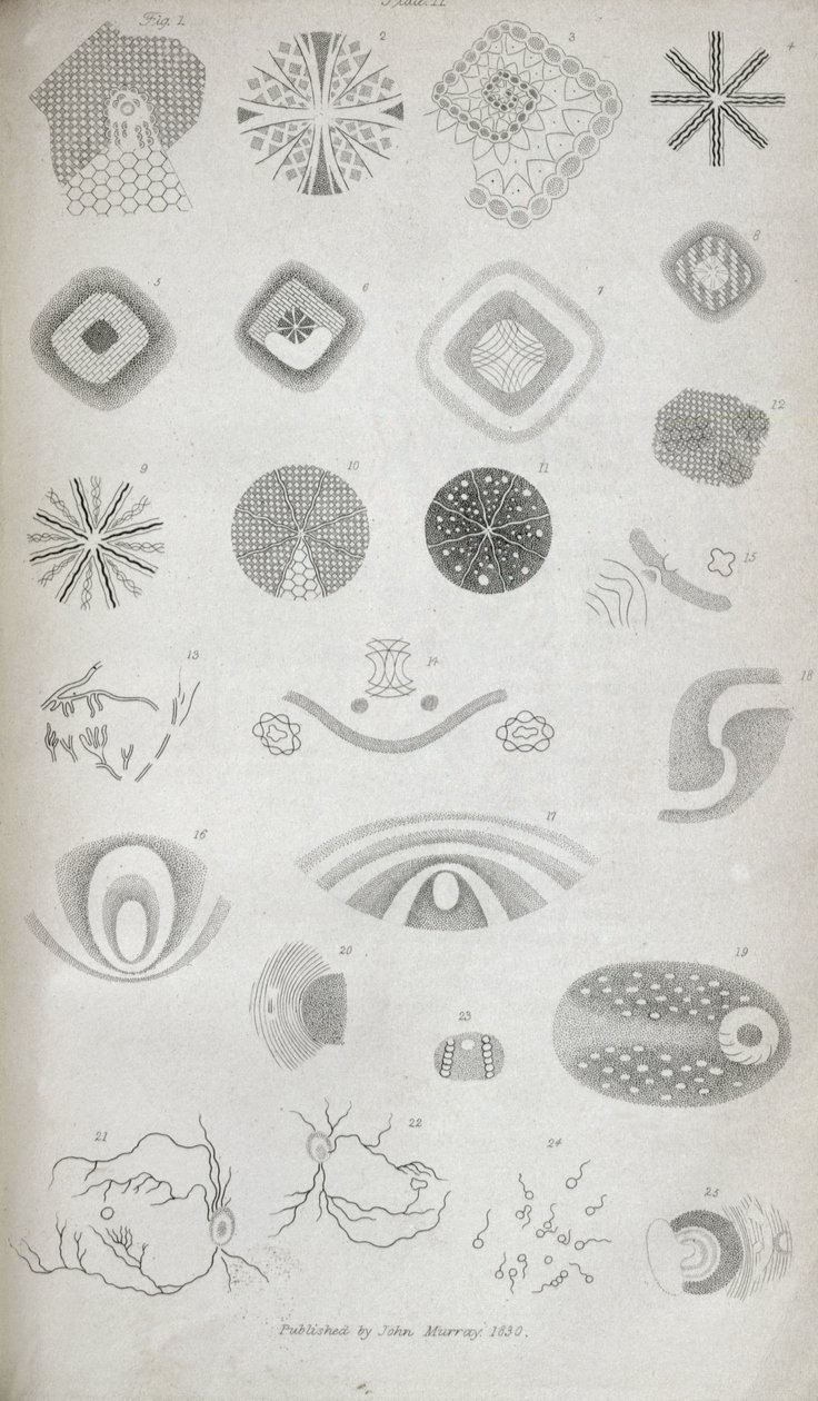 Kuva II teoksesta "Contributions of the physiology of vision No. I", joka julkaistiin Journal of the Royal Institution -lehdessä vuonna 1830. tekijältä Jan Purkinje