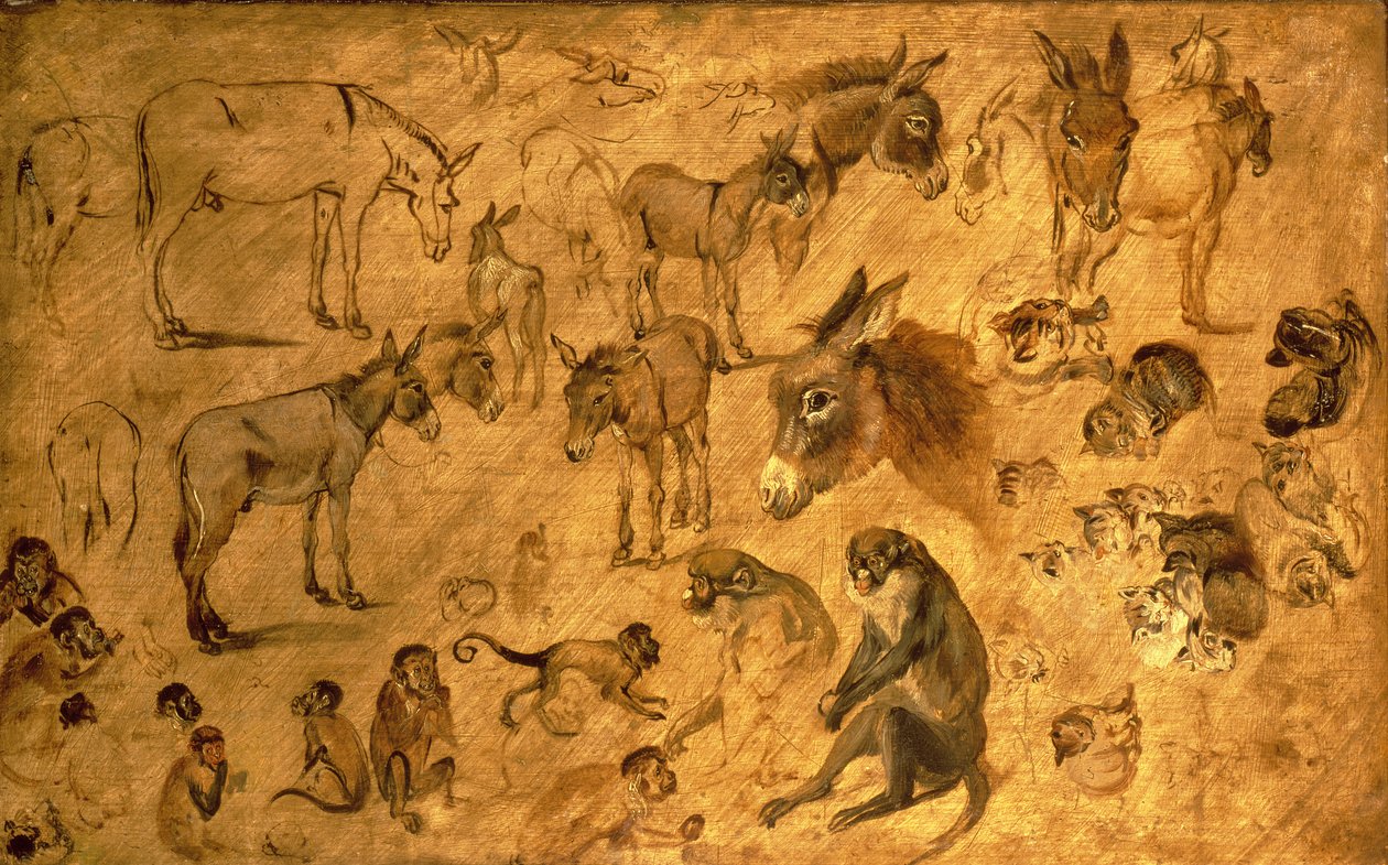 Tutkimus aaseista, kissanpennuista ja apinoista, 1616 tekijältä Jan the Elder Brueghel