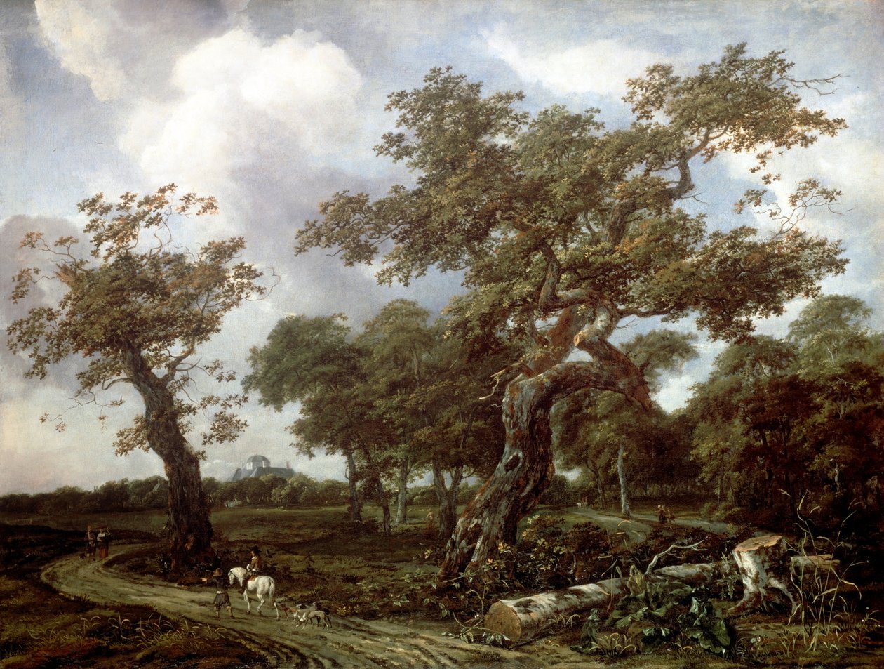 Wood lähellä Haagia, näkymä Huis ten Boschille tekijältä Jan van Kessel the Elder