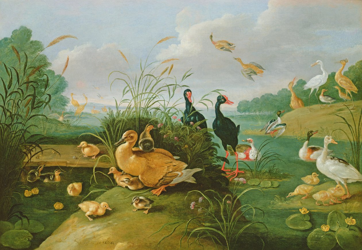 Koristeellinen kana ja ankanpoikia tekijältä Jan van Kessel the Elder