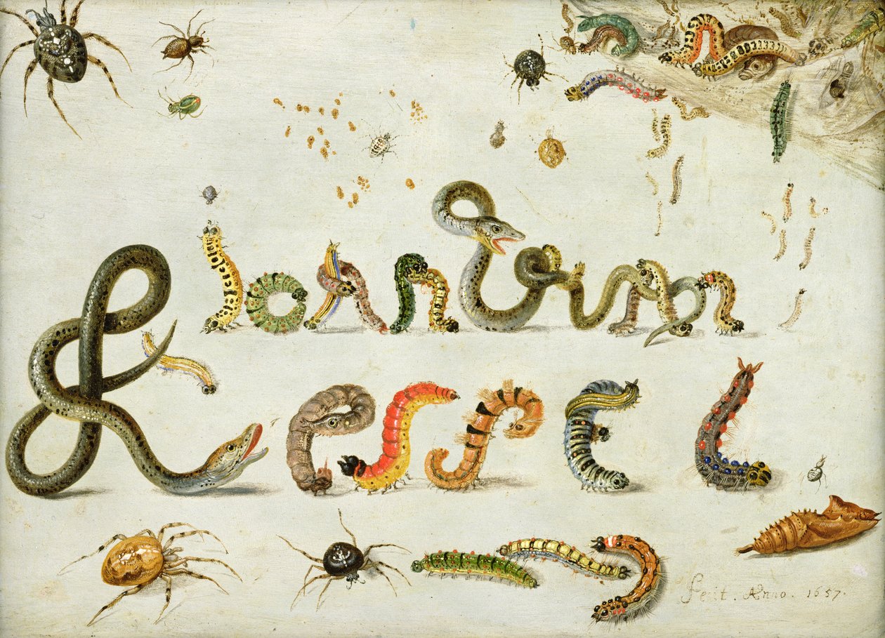 Puutarha ja muut hämähäkit, toukat kirjoittavat taiteilijan nimen, 1657 (öljy kuparille) tekijältä Jan van Kessel the Elder