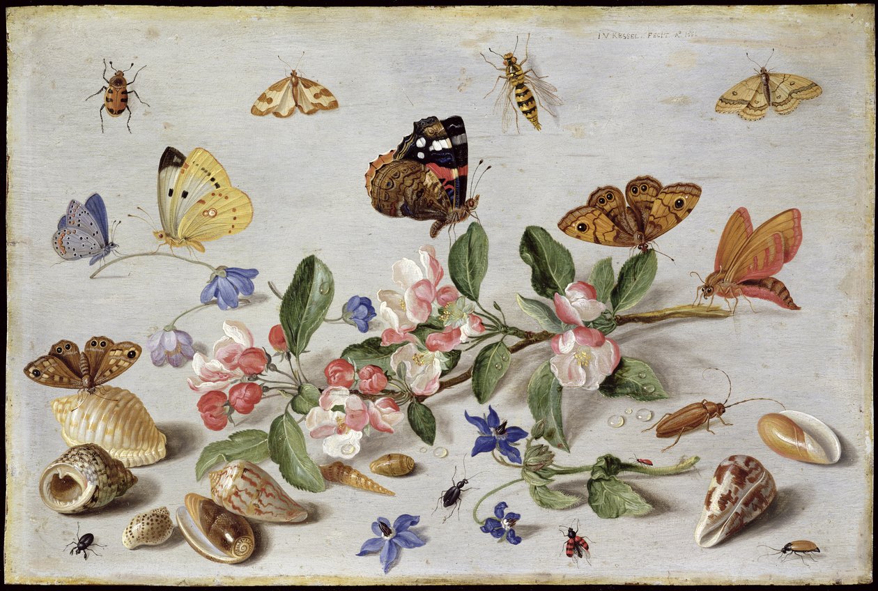 Hyönteiset (öljy kuparille) tekijältä Jan van Kessel the Elder