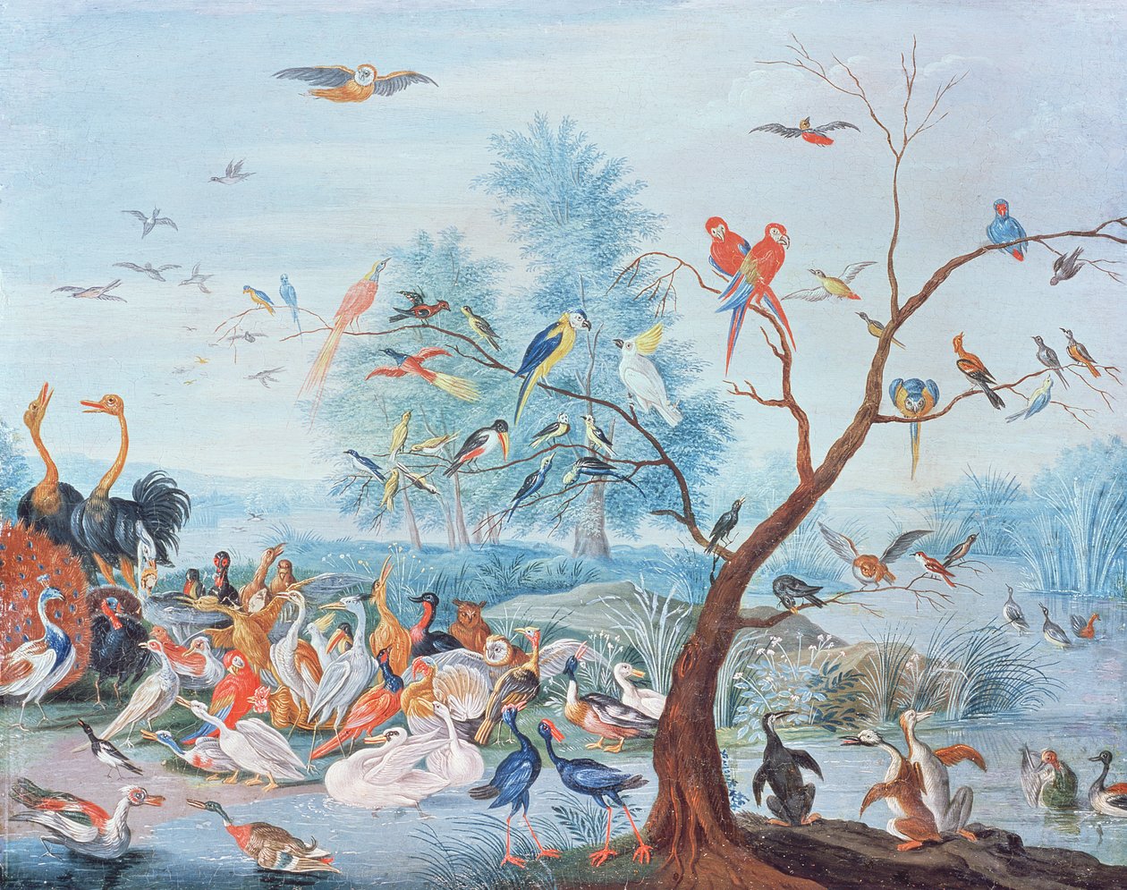 Trooppisia lintuja maisemassa tekijältä Jan van Kessel the Elder