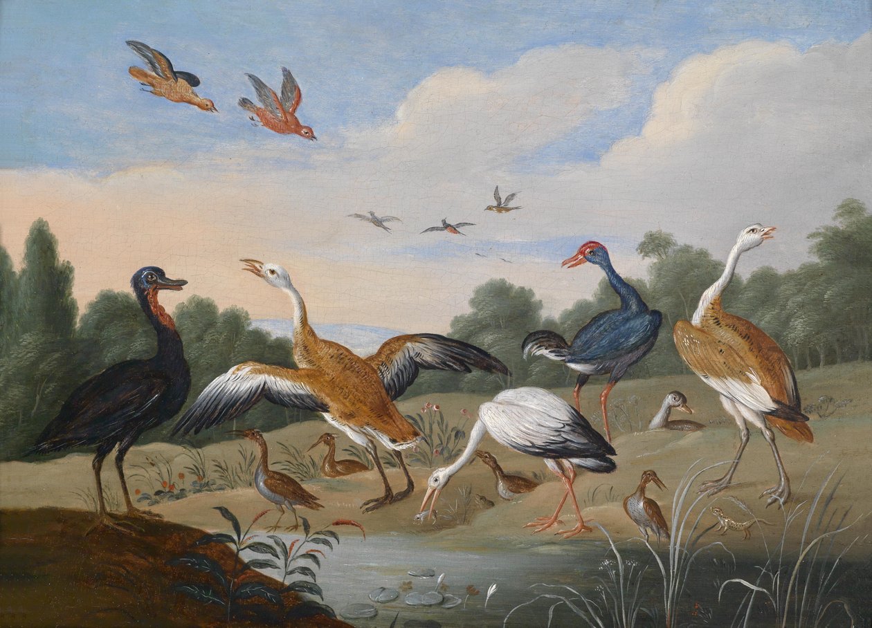 Reiher und Enten ja einem Flußlauf tekijältä Jan van Kessel the Elder