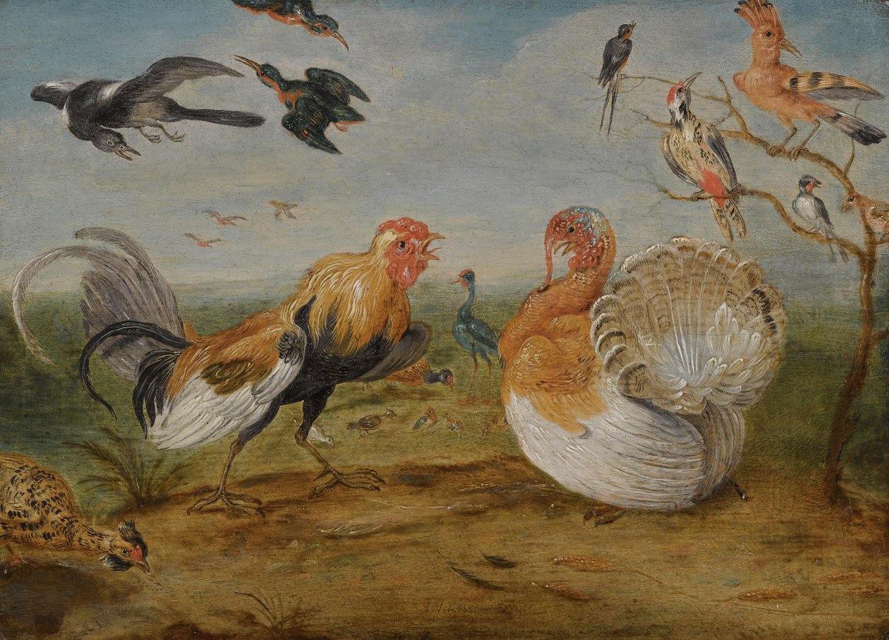 Maisema, jossa on kukko ja kalkkunan riitely ja muut linnut tekijältä Jan van Kessel the Elder