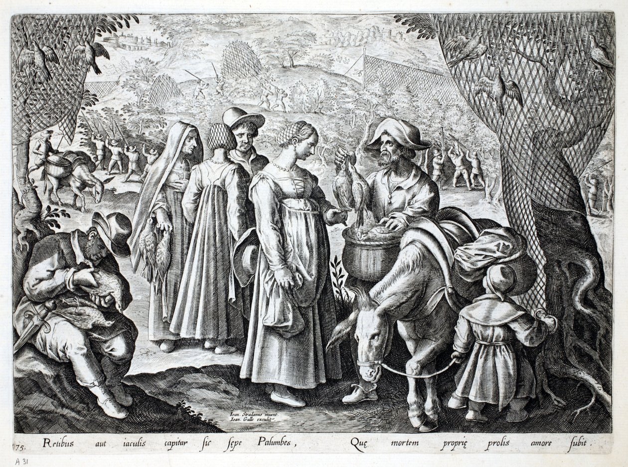 Birdcatchers selling Wood Pigeon, kuvitus teoksesta 