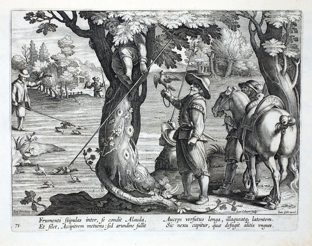 Lintujensieppaajat renkailla vavoilla lintujen pyytämiseen, kuvitus kirjasta "Venationes, Ferarum, Avium, Piscium" (Metsästys: Wild Beasts, Birds, Fish), kaiverrus Jan Collaert (1566-1628), pub. kirjoittanut Phil tekijältä Jan van der Straet
