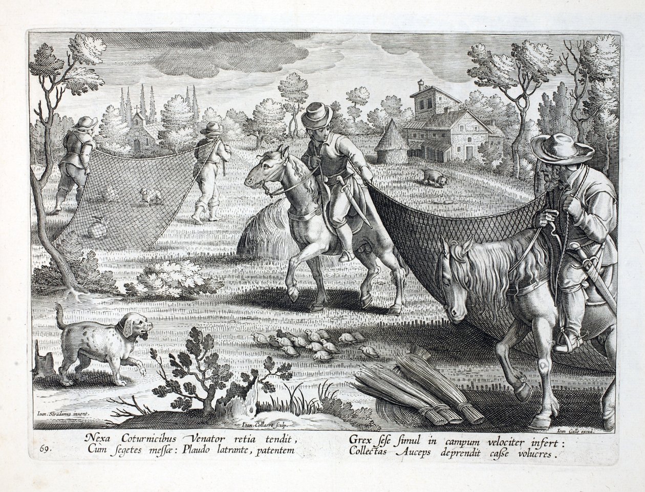 Viiriäisten pyydystäminen, kuvitus teoksesta "Venationes, Ferarum, Avium, Piscium" (Metsästys: Wild Beasts, Birds, Fish), kaiverrus Jan Collaert (1566-1628), pub. kirjoittanut Phillipus Gallaeus, Amsterdam tekijältä Jan van der Straet