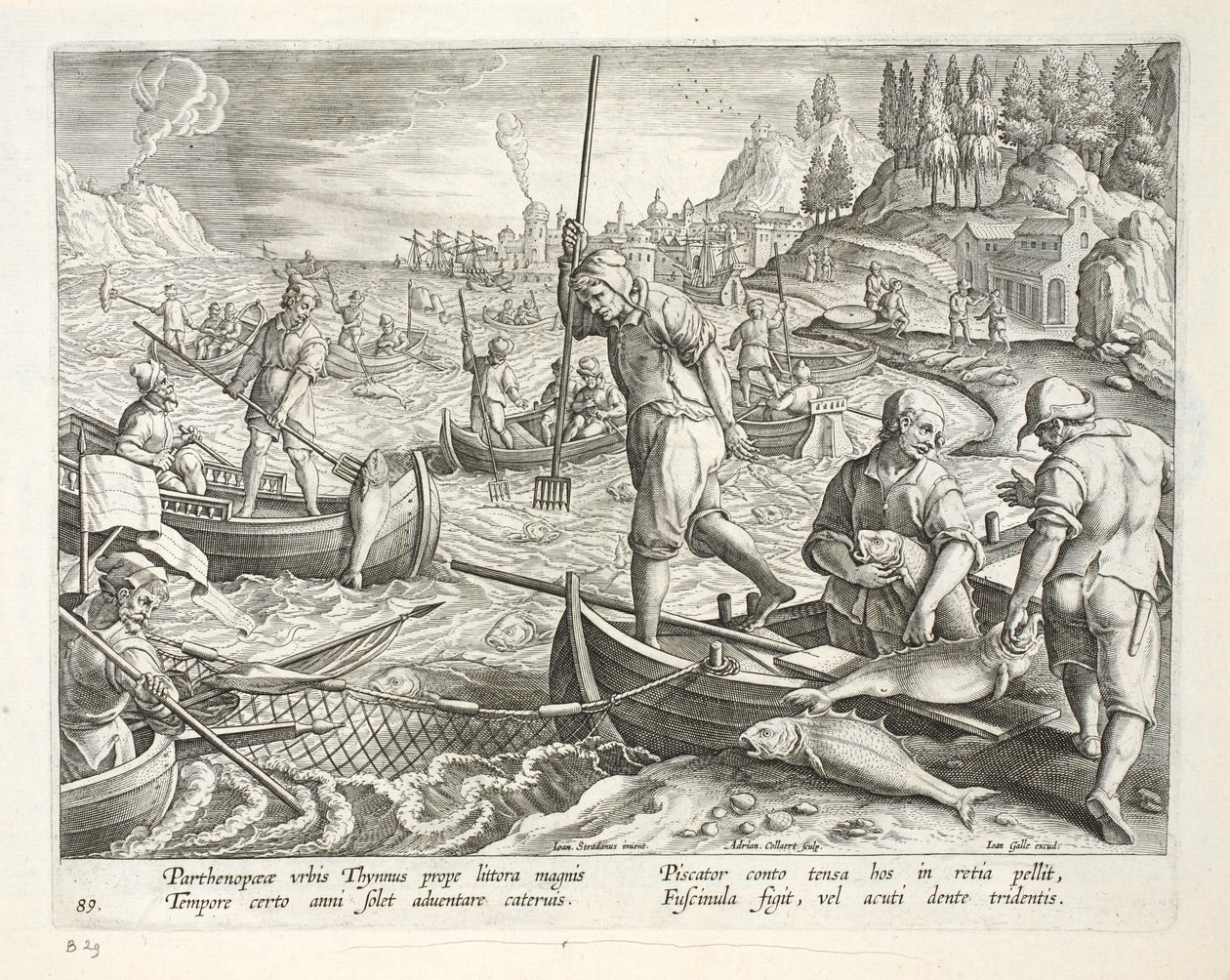 Kalastus verkoilla ja kolmijakoilla Napolinlahdella, levy 89, kuva kirjasta "Venationes, Ferarum, Avium, Piscium" (Metsästys: Wild Beasts, Birds, Fish), kaiverrus Jan Collaert (1566-1628), pubi tekijältä Jan van der Straet