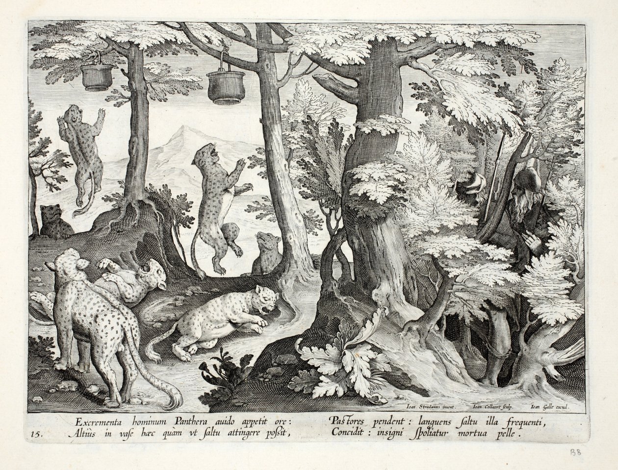 Ahneet pantterit syövät paimenten puista ripustamia ihmisen ulosteita ja kuolevat, esimerkki teoksesta "Venationes, Ferarum, Avium, Piscium" (Metsästys: Wild Beasts, Birds, Fish), kaiverrettu Jan Collaert tekijältä Jan van der Straet