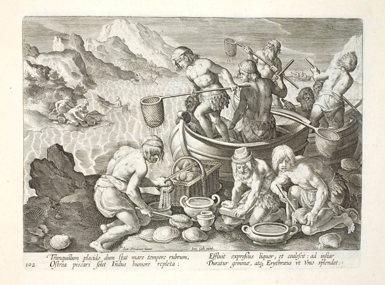 Alkuperäiset kalastavat jättiläissimpukoita Induksella, levy 102, kuvitus teoksesta "Venationes, Ferarum, Avium, Piscium" (Metsästys: Wild Beasts, Birds, Fish), kaiverrus Jan Collaert (1566-1628), pub. kirjoittanut P tekijältä Jan van der Straet