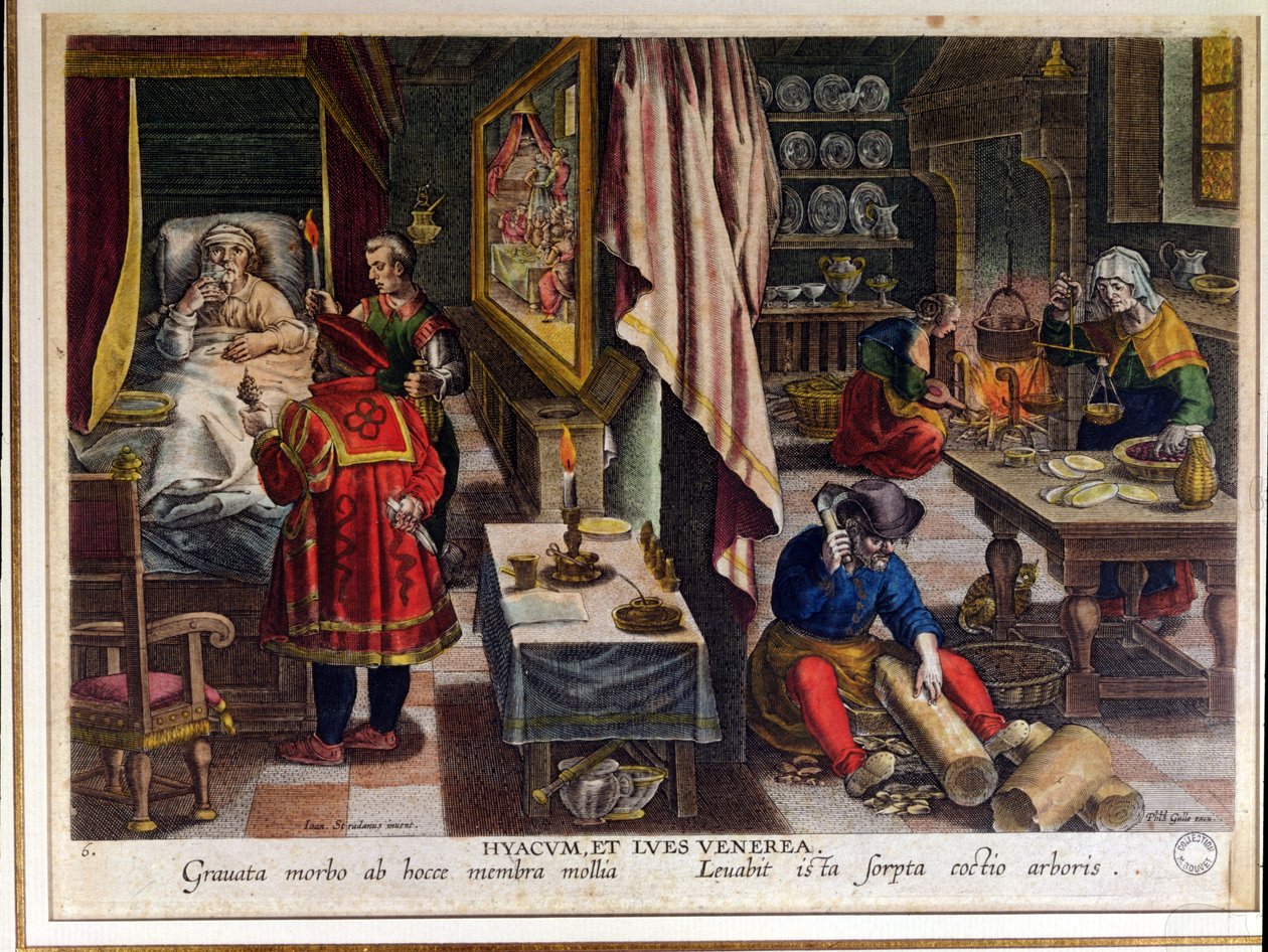 Guayacon valmistus ja käyttö kupan hoitoon, kaiverrus Philip Galle (1537-1612) n. 1570 (katso myös 91596) tekijältä Jan van der Straet