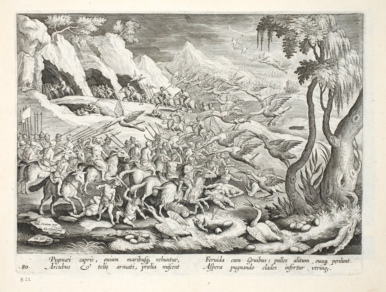 Pygmies vuohia metsästämässä Cranea, kuvitus julkaisusta "Venationes, Ferarum, Avium, Piscium" (Metsästys: Wild Beasts, Birds, Fish), kaiverrus Jan Collaert (1566-1628), pub. kirjoittanut Phillipus Gallaeus, Amster tekijältä Jan van der Straet