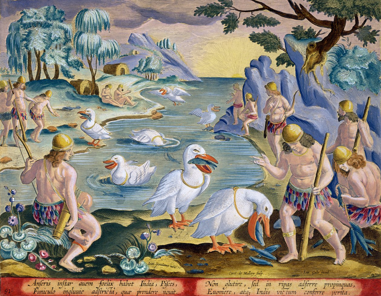 Intian puolialastomia villieläimiä Pelikaaneilla kalasaaliissa, levy 91 julkaisusta "Venationes Ferarum, Avium, Piscium" (Metsästys: Wild Beasts, Birds, Fish), kaiverrettu Jan Collaert (1566-1628), julkaisija Ph. tekijältä Jan van der Straet