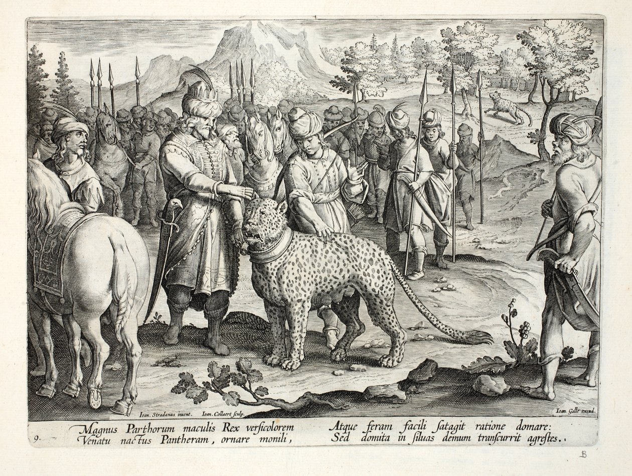 Parthialaisten suuri kuningas metsästää kesyillä panttereillaan, kuvitus teoksesta "Venationes, Ferarum, Avium, Piscium" (Metsästys: Wild Beasts, Birds, Fish), kaiverrettu Jan Collaert (1566-1628), pubi. tekijältä Jan van der Straet