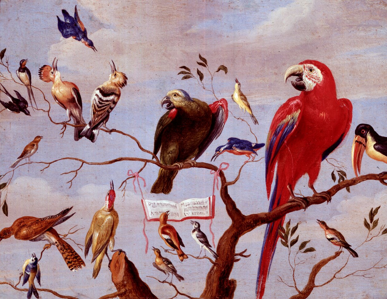 A Chorus of Birds, n. 1650-1675 (öljy metallille) tekijältä Jan van Kessel the Elder