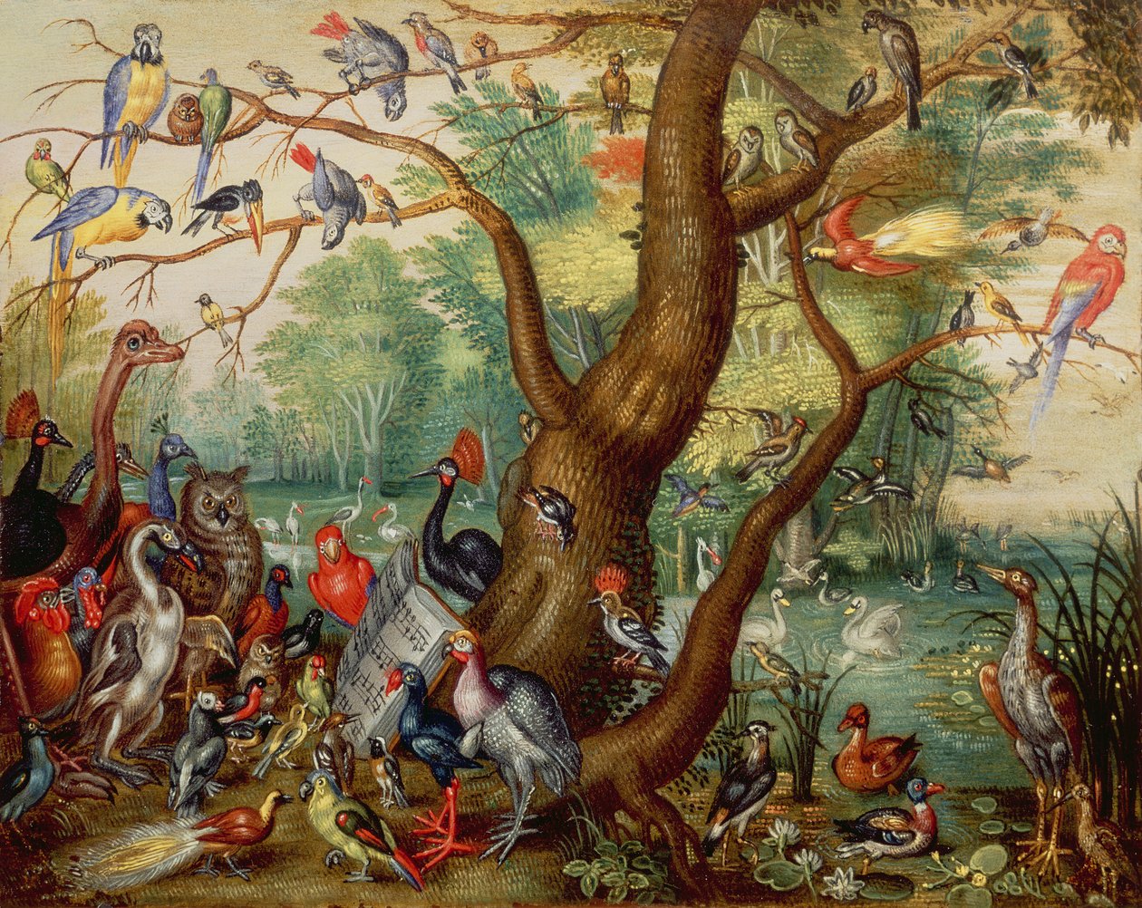 Lintujen konsertti (öljy kuparille) tekijältä Jan van Kessel the Elder