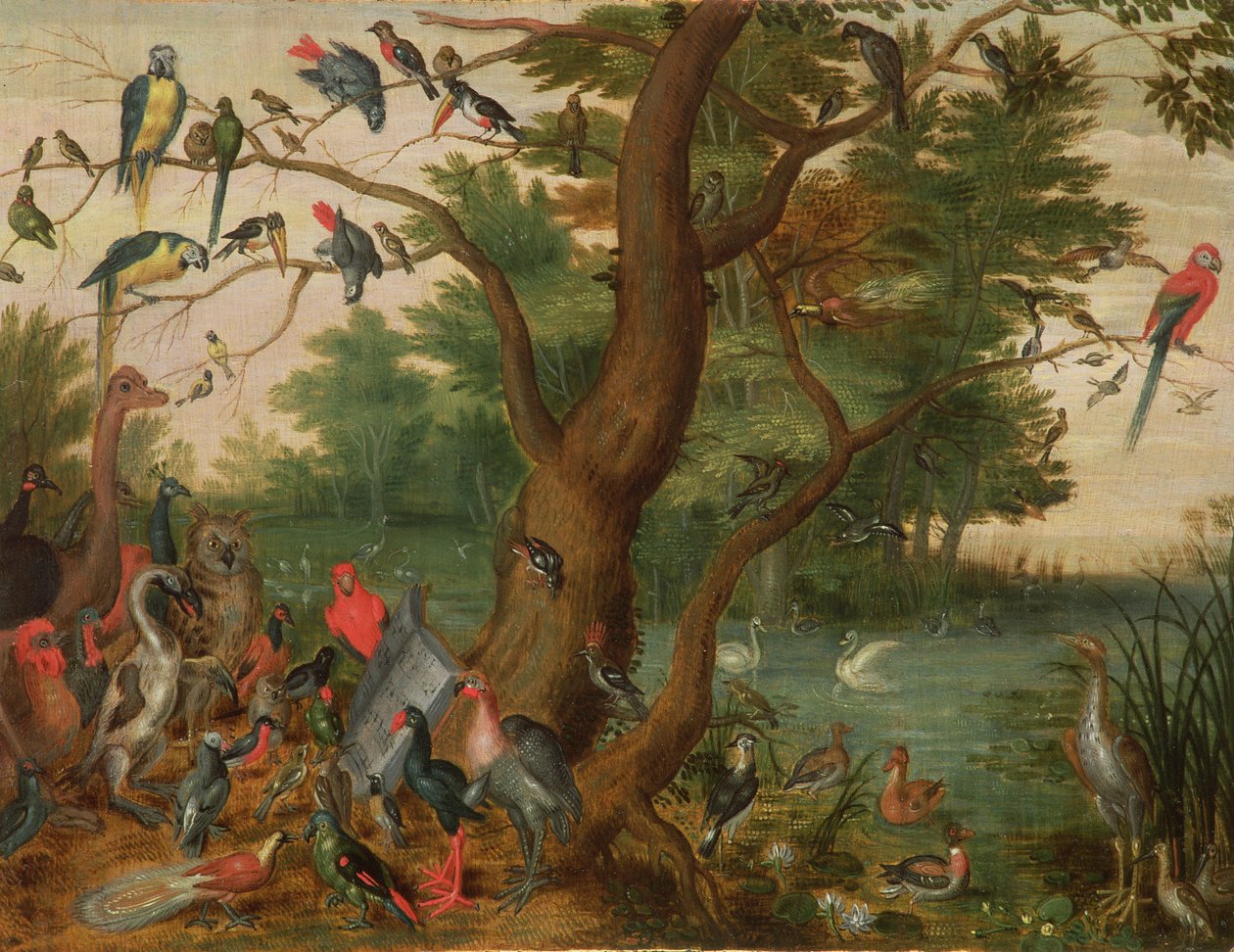 Lintujen konsertti (paneeli) tekijältä Jan van Kessel the Elder