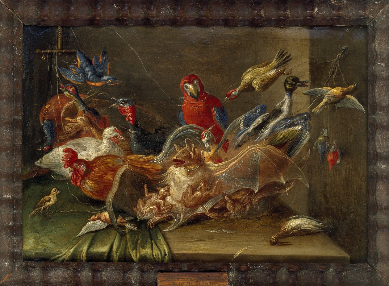 Koristeellinen asetelma, jossa on lintuja ja kaksi lepakkoa (öljy kuparille) tekijältä Jan van Kessel the Elder