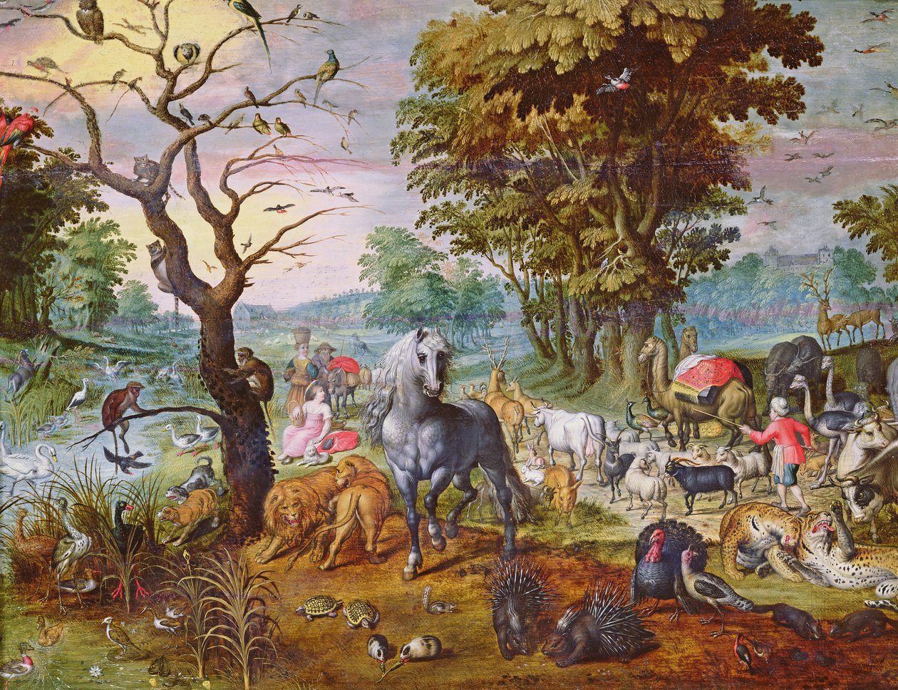 Sisäänpääsy arkkiin tekijältä Jan van Kessel the Elder