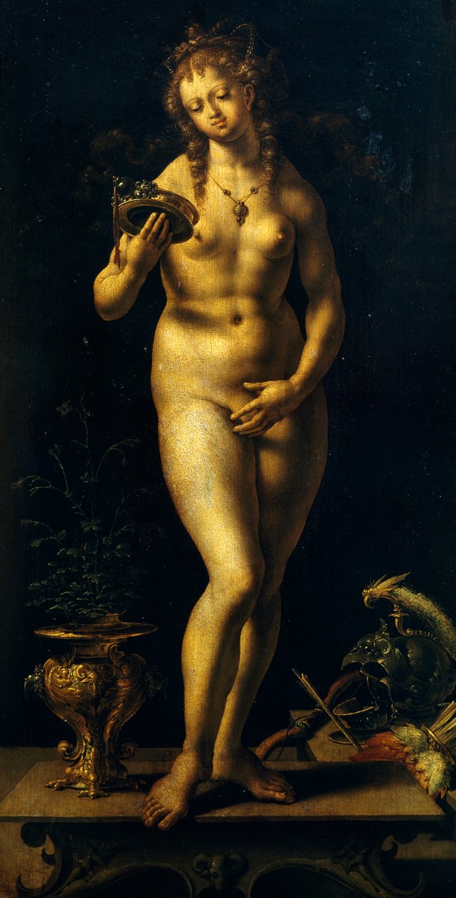 Venus (öljy paneelissa) tekijältä Jan (c.1472 c.1533) Gossaert