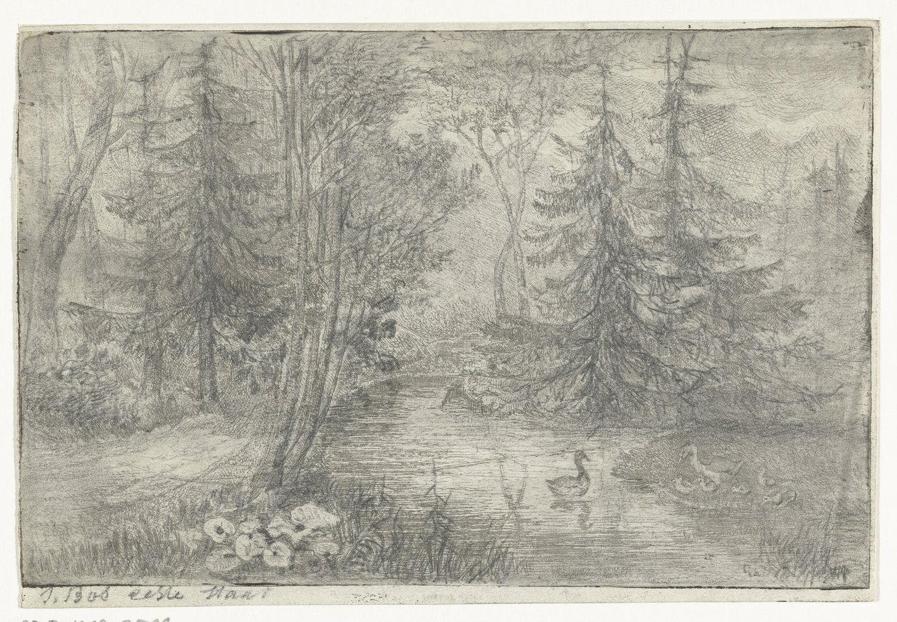 Metsälampi ankkojen kanssa tekijältä Jan Bos Wz. (signed by artist)