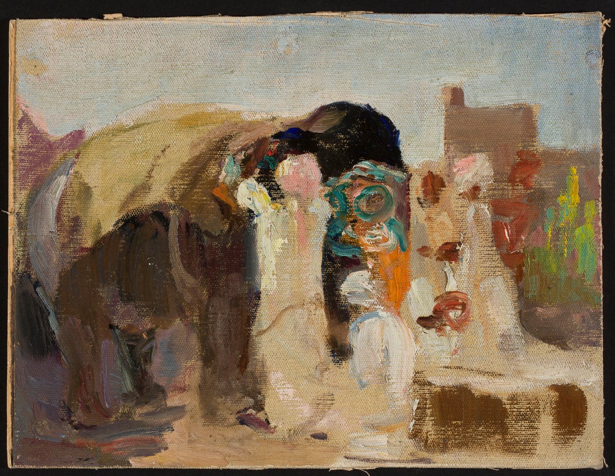 Jaipur - norsun maalaaminen. Intian-matkalta tekijältä Jan Ciągliński
