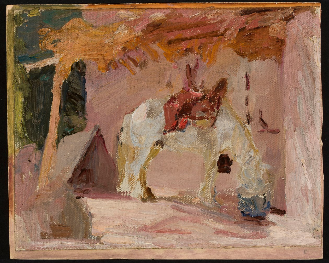 Pferd. Aus der Reise nach Turkestan tekijältä Jan Ciągliński