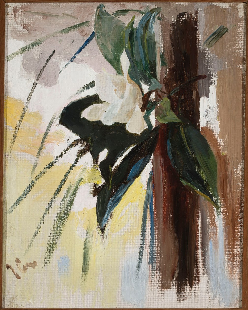 Magnolia tekijältä Jan Ciągliński