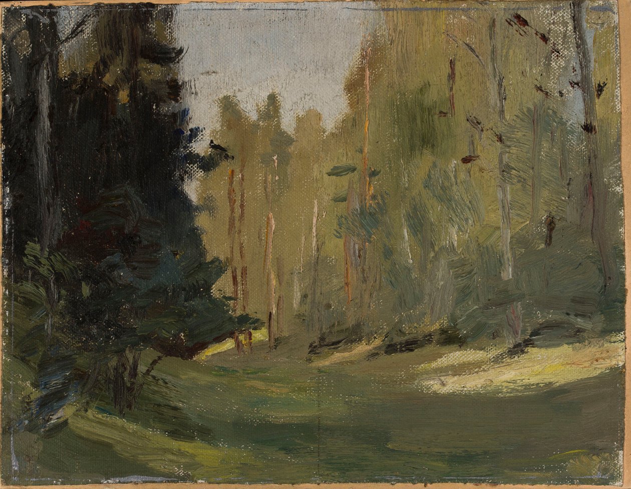Mariino - metsäaukio tekijältä Jan Ciągliński
