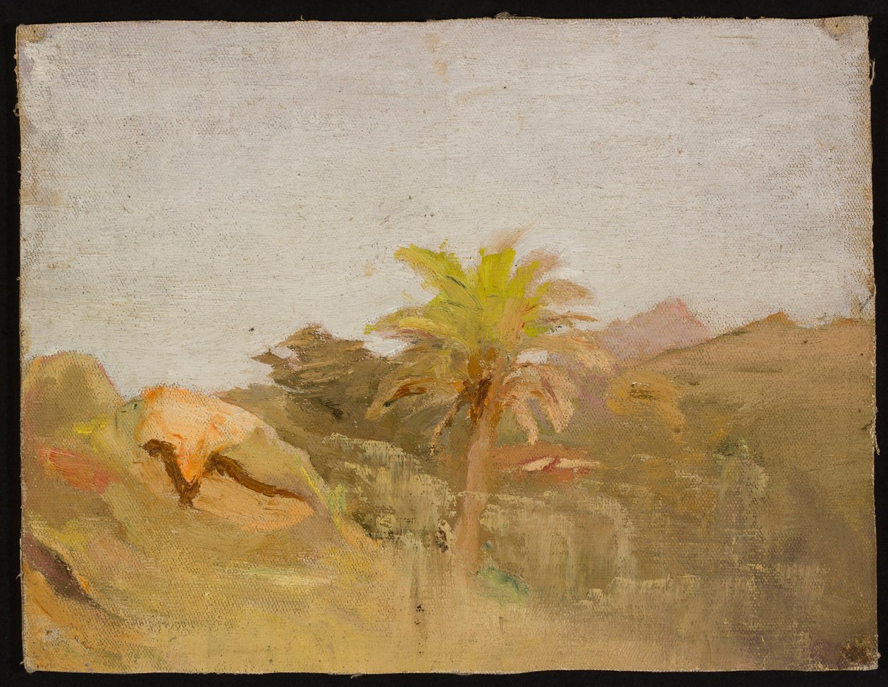 Palme auf Ceylon. Aus einer Reise nach Indien tekijältä Jan Ciągliński