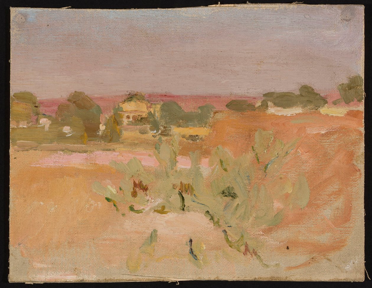 Rosa Landschaft mit Kakteen. Aus einer Reise nach Indien tekijältä Jan Ciągliński
