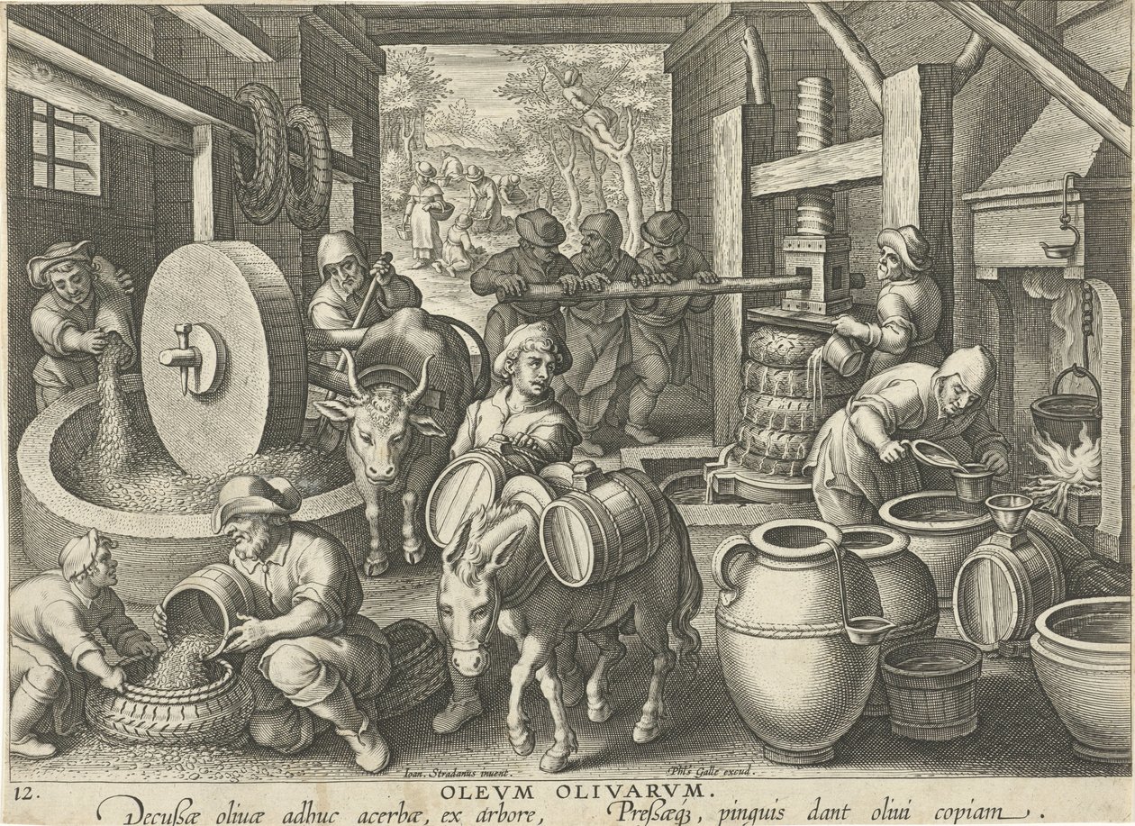 oliivipuristin Olevm Olivarvm (otsikko esineessä) Uusia keksintöjä ja löytöjä (sarjan nimi) Nova Reperta (sarjan nimi) tekijältä Jan Collaert (II) (attributed to)
