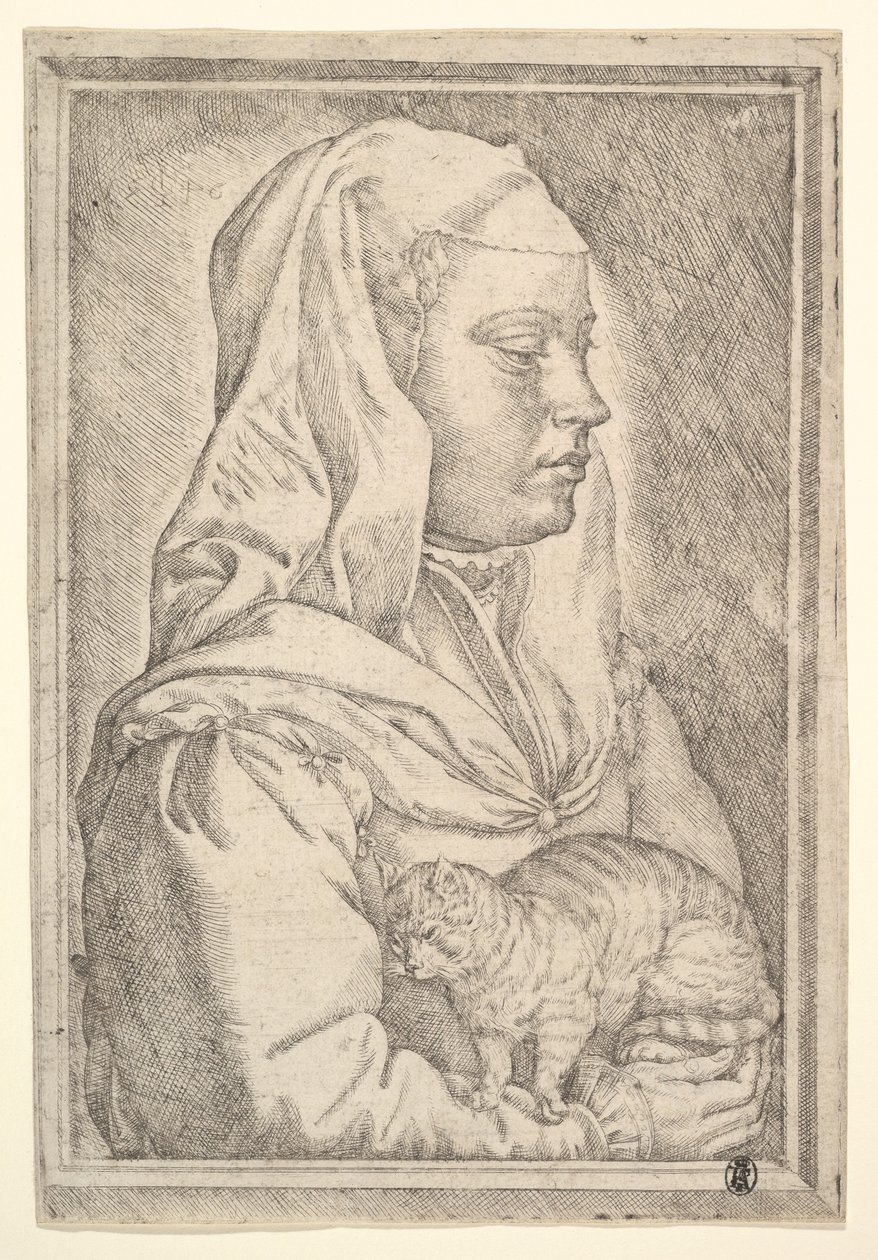 Tyttö kissan kanssa, 1546. tekijältä Jan Cornelisz Vermeyen