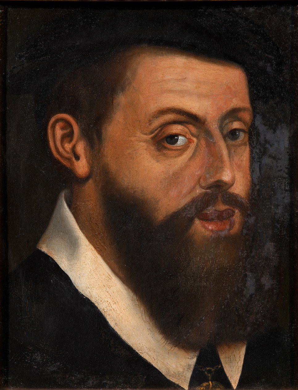 Keisari Kaarle V:n muotokuva 1500-1558 tekijältä Jan Cornelisz. Vermeyen