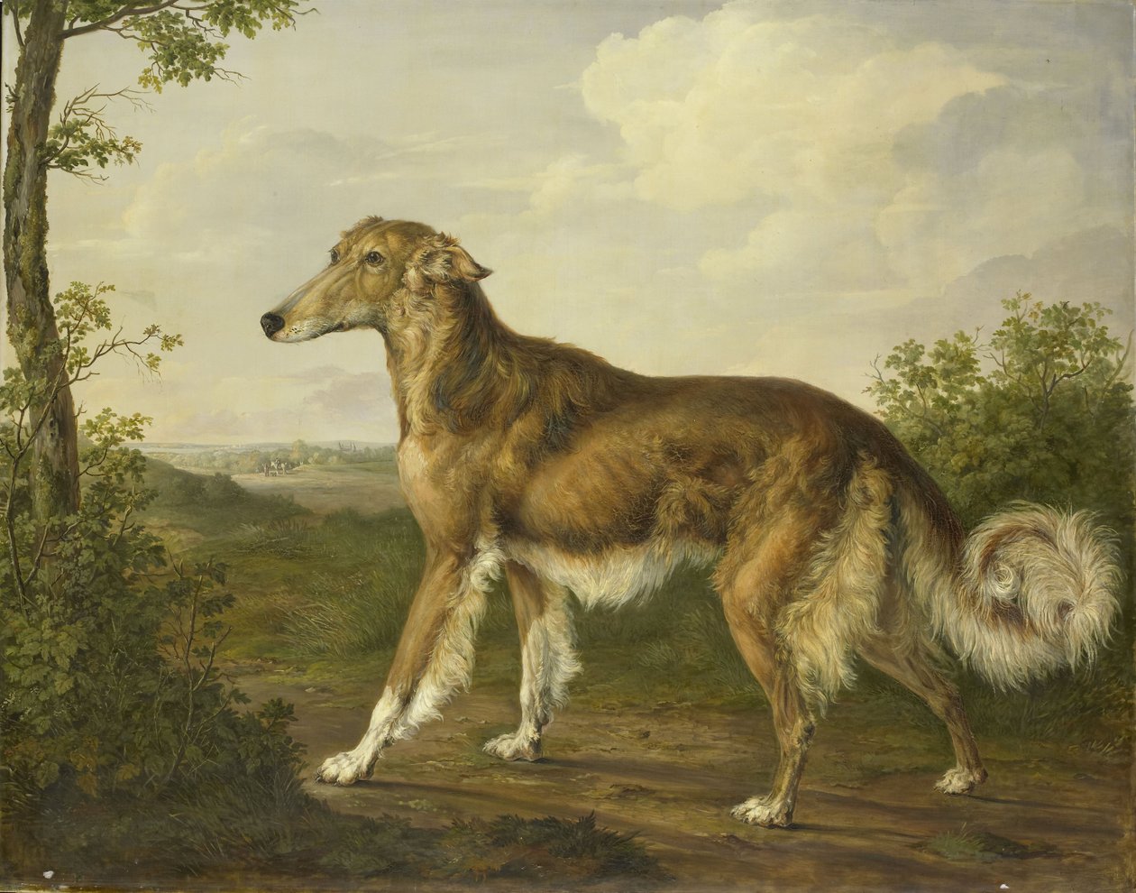 Siperian vinttikoira, n.1825 (öljy kankaalle) tekijältä Jan Dasveldt