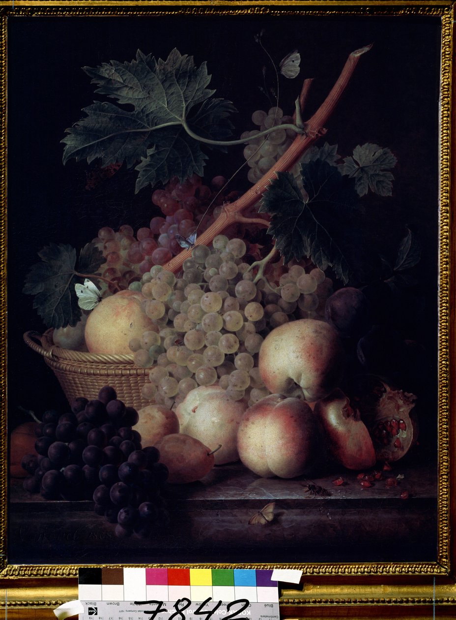 ""Hedelmät"" Persikoiden, rypäleiden, päärynöiden ja granaattiomenoiden asetelma perhosten ja ampiaisen kanssa. Jean Francois van Daelin (1764-1840) maalaus 1808 Pushkin-museo, Moskova tekijältä Jan Frans van Dael
