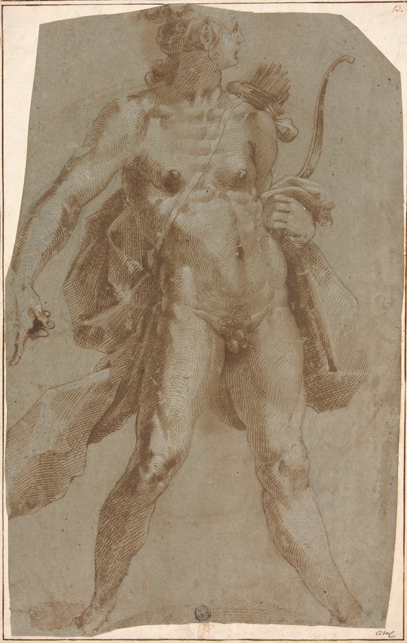 Apollo tekijältä Jan Harmensz. Muller