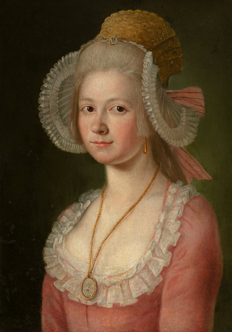 Muotokuva naisesta konepellillä, 1785 tekijältä Jan Jahn